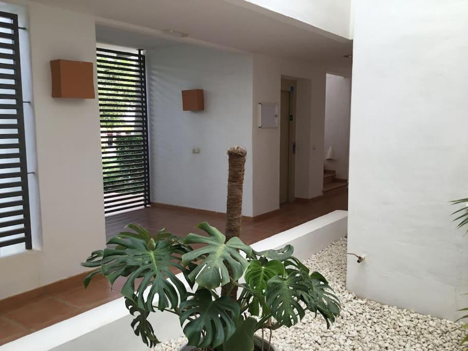 Alcazaba Blue Lagoon 3 Bedroom, Ground Floor Apartment Estepona Exterior foto